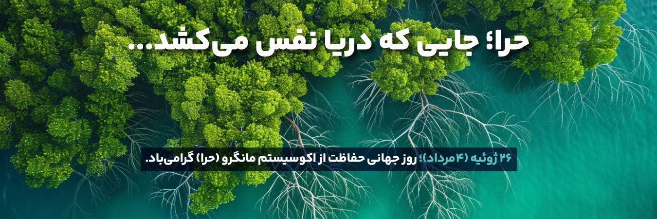 حرا